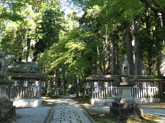樹齢五百年超の杉木立ちの中に、苔むした石碑や古色蒼然としたお社が点在する