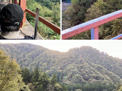 ダム湖には、「猿のつり橋」という、ダム湖に掛かるサルが対岸へ渡れるように作られた吊り橋があります。

サル専用のですので、手摺は無く、単にロープが架かっているだけにしか見えませんが、猿にとっては重要な、移動動線のようです。
