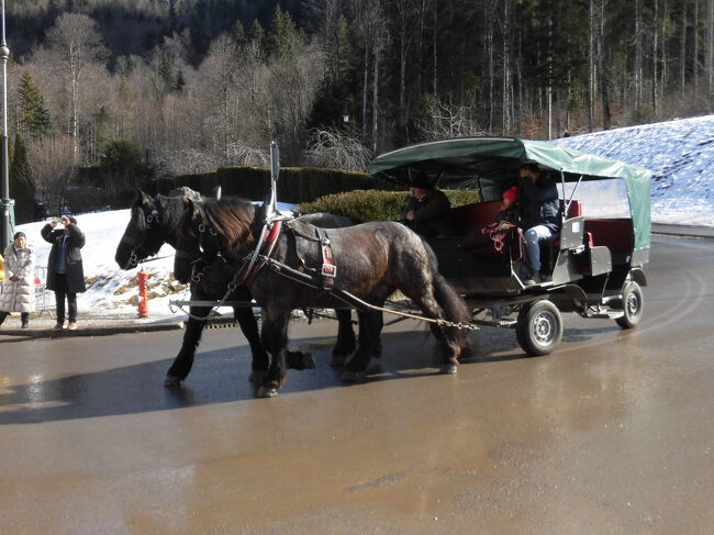 ノイシュバンシュタイン城が山の中腹にあるため、馬車もあります（有料）。<br />（内緒の話）客車の方は電動で動いているとのことでした。<br />だから馬が休む間もなく、ピストン輸送できるわけですね。<br />