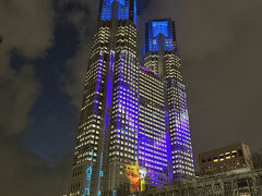 ディナーの後は都庁まで散歩しプロジェクションマッピングを