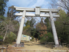 自玉手祭来酒解神社 (酒解神社)