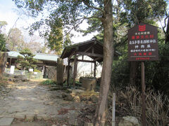自玉手祭来酒解神社 (酒解神社)