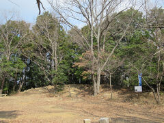 天王山 (山崎城跡)