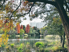 よみうりランドの前に、吉祥寺の写真をいれておきます。
よみうりランドとは別の日です。

吉祥寺で　話題の映画「侍タイムストリッパー」をみました。
すごく面白かったですよ。
日本アカデミー賞取りましたね！パチパチ拍手！！！