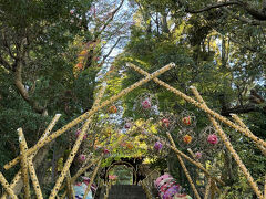 ここから　よみうりランド編です。
遊園地の前に、HANA・BIYORIへ行きます。
聖なる森への入り口