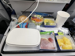 飛行機での移動