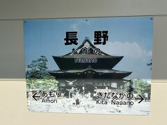 再び長野駅です。長野から松本までの2両編成の混み合う鈍行に乗る予定でしたが、