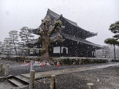 3日目は、朝から結構な雪。
朝、建仁寺へ。
雪模様も風情がある。観光客も少なく、静か。