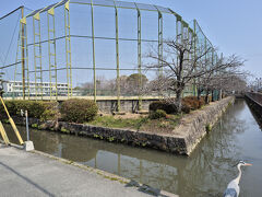 柳川城阯
