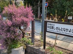 目黒区総合庁舎の前に中目黒しぜんとなかよし公園