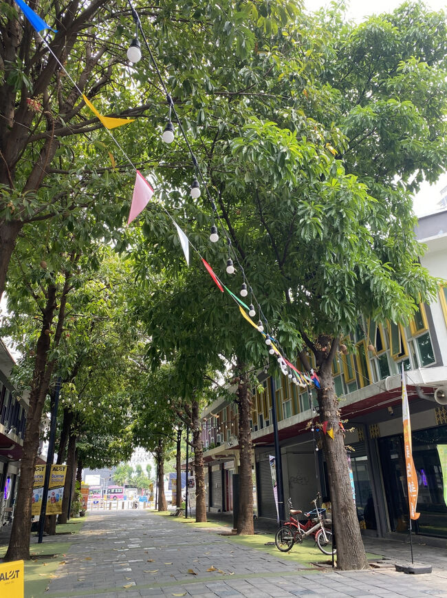 スワンルアンスクエアは緑やベンチもたくさんあって、風がそよそよ気持ち良かったので、そのままスクエア内のベンチに座ってロティが熱いうちに食べてみることにしました。