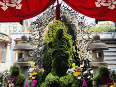 水掛不動 （法善寺）