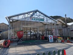 いちご狩りはただかね農園。
ばいえるから徒歩約20分。