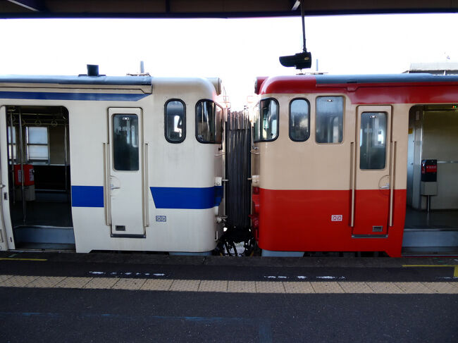 パナソニック「LUMIX TZ99」試し撮りTrip 指宿と湧水町へ』指宿(鹿児島