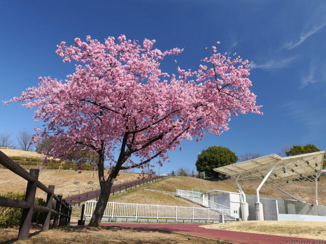 桜子様*❀ GncwlefbwAAAK34.jpg
