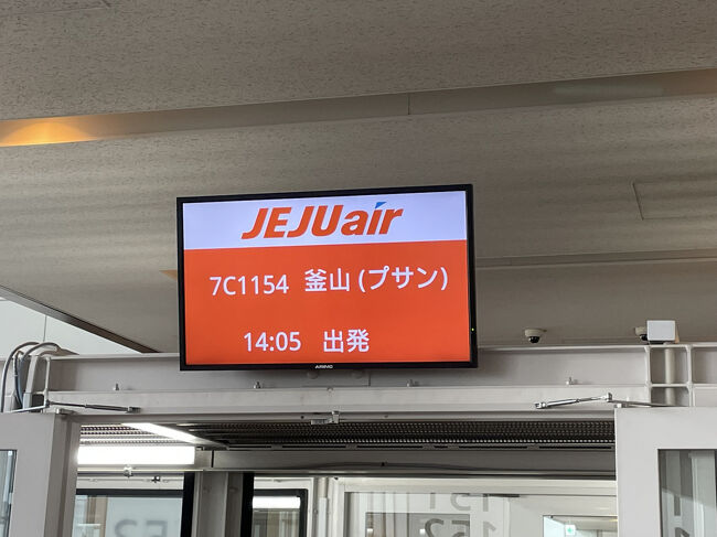 14:05の成田発便に乗るために9時に起きて10時前に出て、電車とバスを乗り継いで、事前にオンラインチェックインは済ませてあるので、必ずしも以前のルールのように2時間前に行く必要もないんですけどね、空港ではいつ何があるかわからないし結果乗り込むまでにすでに起きてから5時間半くらい経ってます。