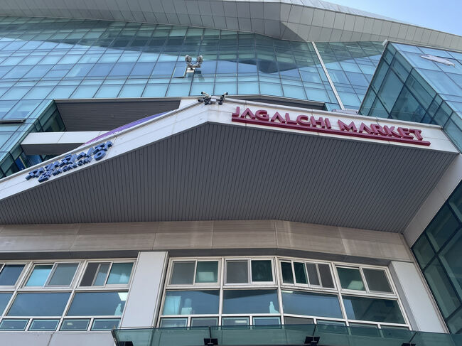 結構大きいのですね。