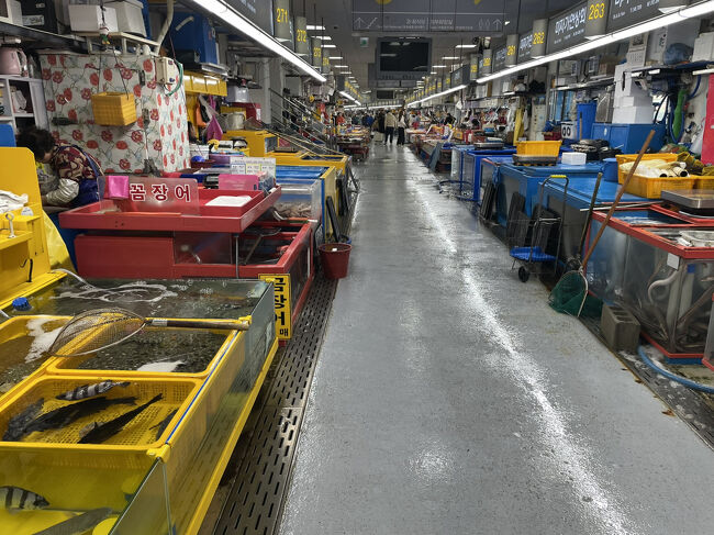 市場の中をウロチョロします。<br />ヌタウナギがどこも人気なんですかね。