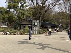 そして、スタバもお花いっぱい。
そして、混んでます。
どこも混雑だね。