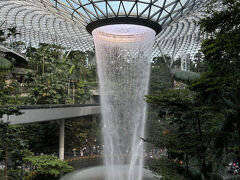 とうとう本物を見ました！　動画などでよく見ていたせいか、割とこんなものか、とあっさりした感じでした。もっと感動すると思っていたけど・・・。