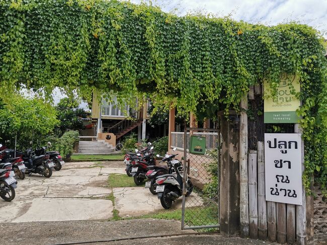 プルックチャー　ナーン<br />Pluk Cha Nan