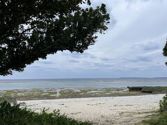 この日は宮里海岸や仲本集落を散歩するだけで終了

風が抜けるところに行かなければ、防風林で風が遮られるので寒さも和らぎますが、持ってきた長袖の服がＴシャツだけなのでウィンドブレーカー来てても寒い！(;´Д｀)