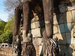 象さんは 鼻で蓮の花を摘んでいるらしい。