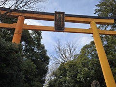 次に川越氷川神社に来ました
木造の大鳥居は日本一と言われ扁額の氷川神社の文字は幕末に活躍した勝海舟の書です