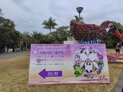 沖縄海洋博公園に到着しました
洋蘭博覧会の初日
