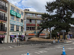 松島の海岸あたりをぶらぶら