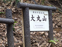 横浜市最高峰の大丸山

標高156.8メートル