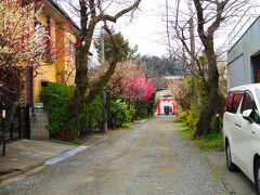 向こうに見えるは荏柄天神社

お連れさん、寺社仏閣に興味を示さずスルー。