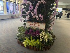 
今日は違うめんそーれです！

1日目宿泊先のSTORYLINE 瀬長島へ向かうため沖縄初タクシー！
待機しているタクシーには少し勇気がいるので、GOアプリで配車してみました(笑)

運転手さんとても気さくな方で、明日ここ行くならこの道だよ～とか
やっぱり現地の方お勧めスポットは古宇利島！とか
楽しく会話しながらあっという間にホテル到着しました(*´ω｀)
