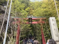 伊東を離れ伊東線に乗って来宮で下車。
かつて何度も行った来宮神社にやってきました。