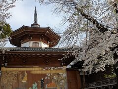 先ずは祐天寺に桜を見に行きました
