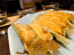 念願の宇都宮餃子♪

↓宇都宮観光の旅行記
https://4travel.jp/travelogue/11965587