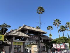 入った途端、凄い南国植物に囲まれてマイナスイオン感じまくり…。
