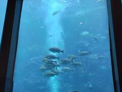 神秘的で綺麗でした。