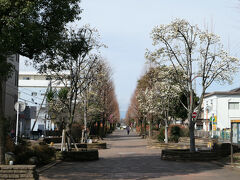 3.13　大和駅に下車
もうすっかり見慣れた風景

この道も花いっぱいで楽しい