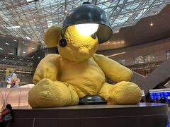 メトロで空港についてから10分位は歩いたと思います。
その後チェックインカウンターで20分程並んでチェックイン。
ワンワールドのステータスで使えるビジネスカウンターがわからなかったのでエコノミーの長蛇の列に並びました。カウンターは多いので見た感じの予想より早かったです。
出国は自動化ゲートで一瞬でした。