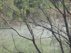 青春18きっぷ５日間の最終日は雨の朝、いずれ止むだろうが山歩きはやめて温泉にした。
中央（西）線の車窓を楽しもう。
落合川駅から見る木曽川の川面に霧が漂う。