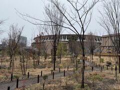 鉄腕DASHで植樹風景をやっていた、都立明治公園。
手造りのプレートも見てきました。
