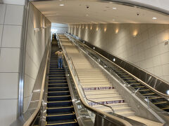 事前にネットでチケットを買っていたのですが、エントランスの電波が悪く…
表示されるまで外に出たりして、入るのにちょっと手間取りました。