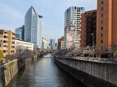 目黒新橋からの眺め　下流側
