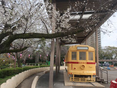 飛鳥山公園
桜の木の下には先ほど乗った都電の旧型車
江戸8代将軍吉宗によって行楽地として整備され､明治初年には日本最初の公園のひとつに指定される