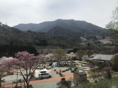 御坂路さくら公園