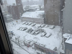 3月17日（月）

目が覚めるとそこは雪国だった。