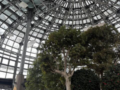 再び、歩道の除雪がされてない幣舞橋を横殴りの雪の中歩き、EGGに避難。
あーEGGありがたやー。
外は八甲田山だけど、ここは穏やか。

EGGはEver Green Gardenの略で、ドーム型の巨大温室です。