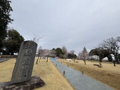 公園碑はありますが、城址碑がなかったです。
城跡の詳しい案内図も見つけられなかったので、Googleマップでチェックすると、道路から坂道を上ってすぐのここが城の南部にあった本丸跡のようです。いきなり本丸だったので驚きました。

だが、しか～し！
帰宅後に調べてみたら、公園整備などによって本丸と二の丸が一体化したようで（他のお城にもあったパターンですが）、本来はここが二の丸で、本丸は二の丸の北東部に設けられていたという記事を見つけてしまいました。
たしかに、実際に歩いた感じだと、ここは本丸じゃないような気もしたし…

結局、正確なことは分からないので、これから記載する名称はGoogleマップに準じることにします。疑問を感じる所は、～～らしいですという表記にするつもりですが間違っていたらごめんなさい。