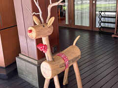 午前中はプールでのんびり過ごし
今年のクリスマスツリーはどんなだろうと
歩いてアンダーズへ。
